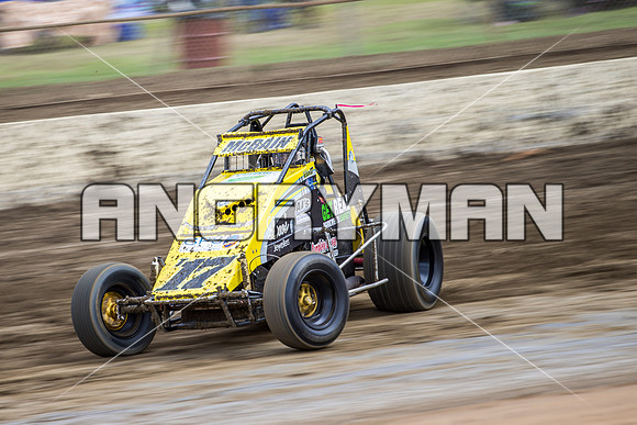 wingless 17 t17 hadyn mcbain-2