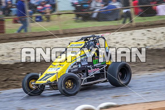 wingless 17 t17 hadyn mcbain-3
