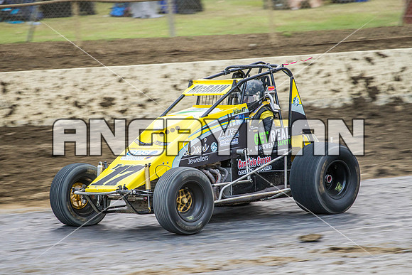 wingless 17 t17 hadyn mcbain-4