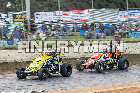 wingless 17 t17 hadyn mcbain-5