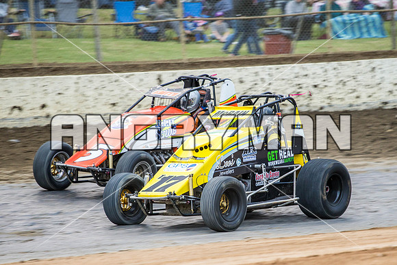 wingless 17 t17 hadyn mcbain-6
