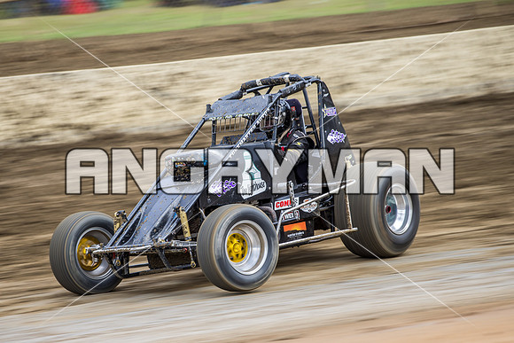 wingless 46 t46-2