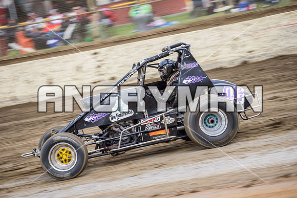 wingless 46 t46