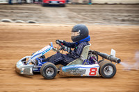 kart 8-2