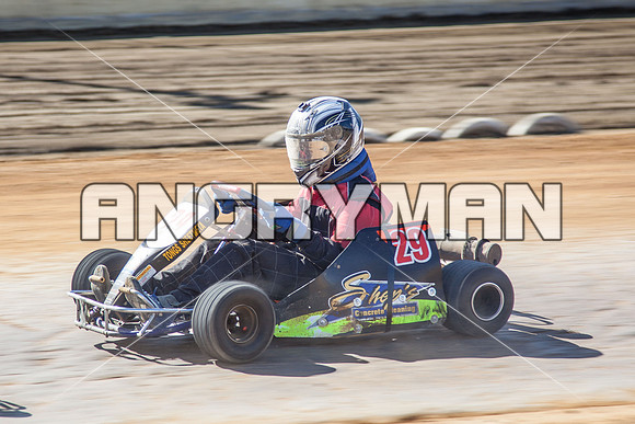 kart 29-3