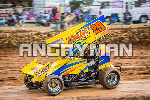 sprintcar 29 t29 robin dawkins-8