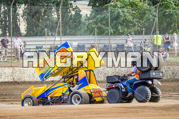 sprintcar 29 t29 robin dawkins-4
