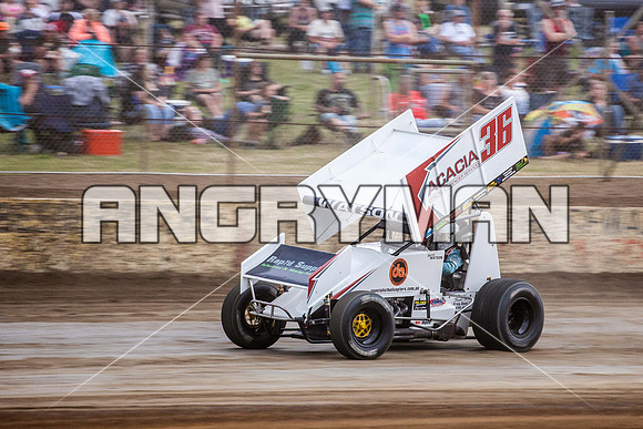 sprintcar 36 t36 terry watson-9