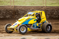 Wingless