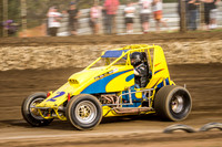 wingless 2 t2-3
