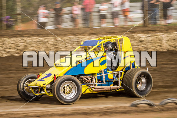 wingless 2 t2-3