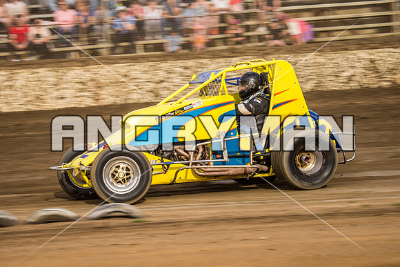 wingless 2 t2-4