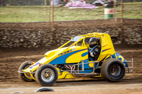 wingless 2 t2-5