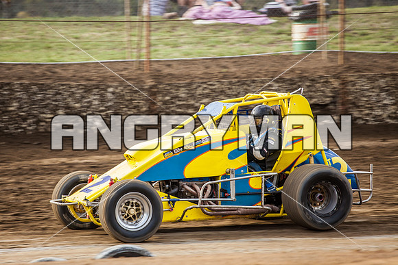 wingless 2 t2-5