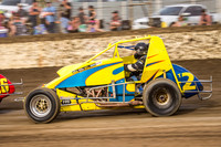 wingless 2 t2-6