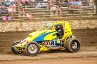wingless 2 t2-7