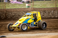 wingless 2 t2-8