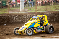 wingless 2 t2-9