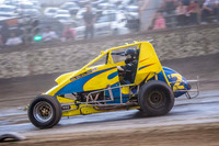 wingless 2 t2-11