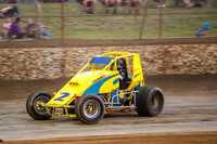 wingless 2 t2-12
