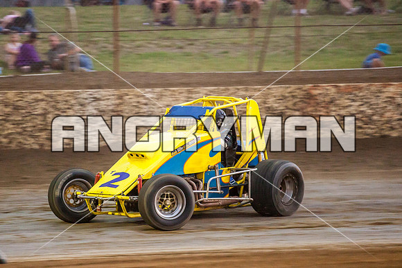 wingless 2 t2-12