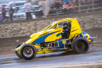 wingless 2 t2-13