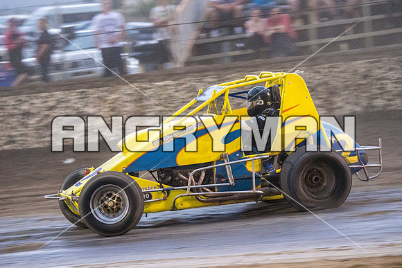 wingless 2 t2-13