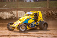 wingless 2 t2-14