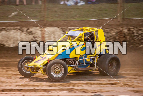 wingless 2 t2-14