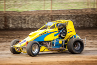 wingless 2 t2