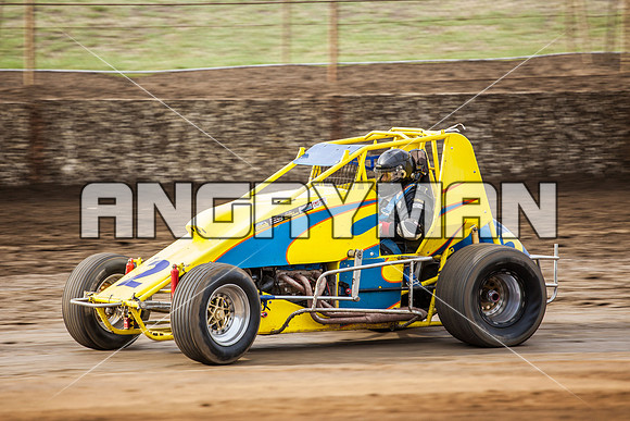 wingless 2 t2
