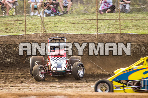 wingless 6 t6-3