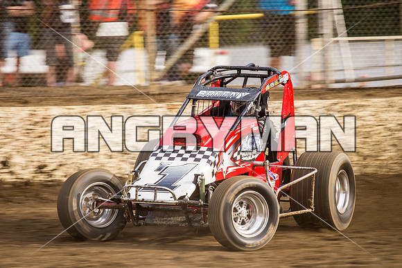wingless 6 t6-13