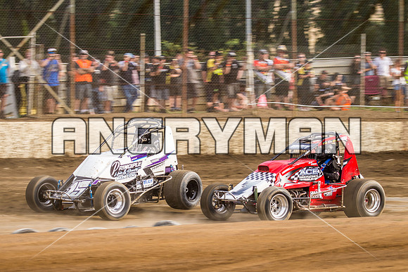 wingless 6 t6-14