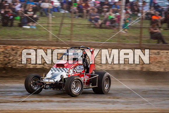 wingless 6 t6-17