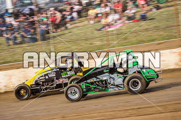 wingless 13 t13-2