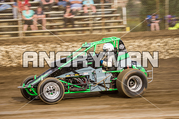 wingless 13 t13-3