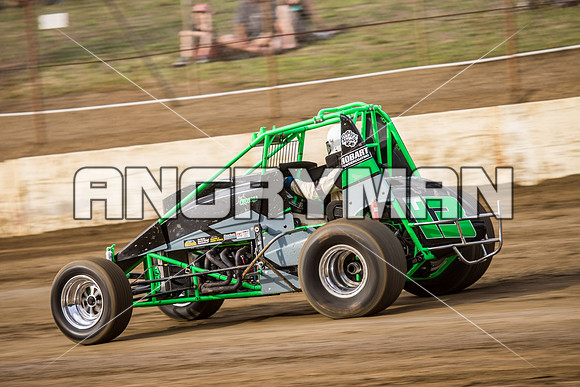 wingless 13 t13-4