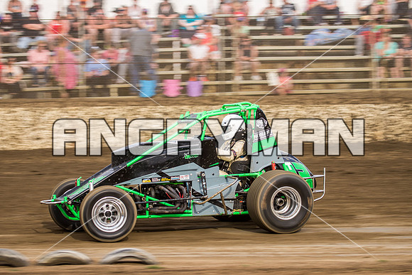 wingless 13 t13-7