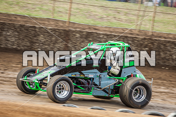 wingless 13 t13