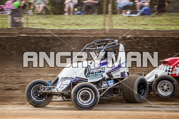 wingless 15 t15-2