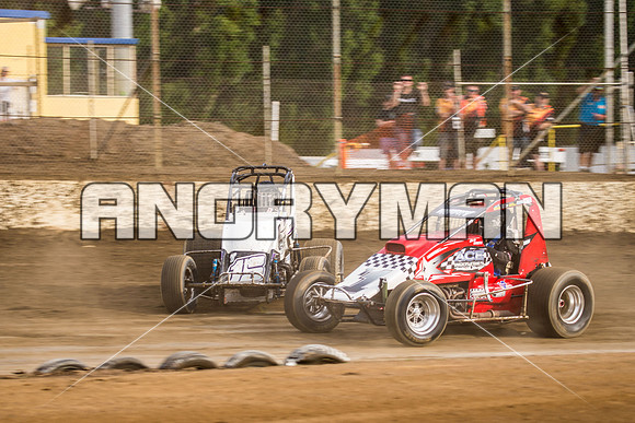 wingless 15 t15-4