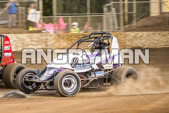 wingless 15 t15-6