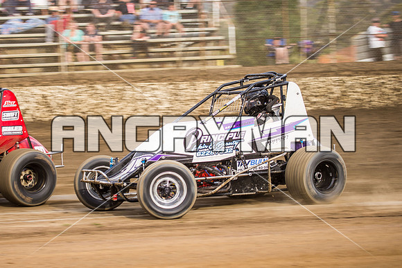 wingless 15 t15-7