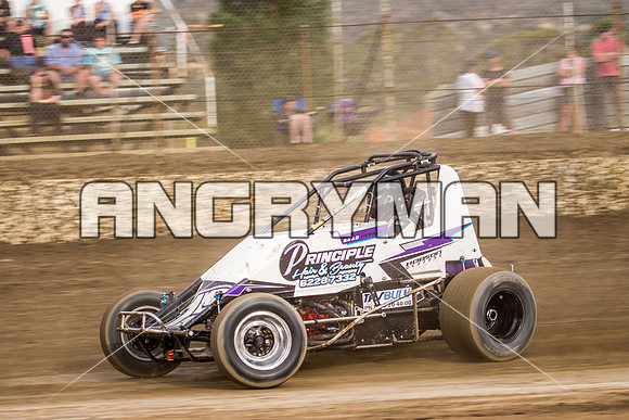 wingless 15 t15-8