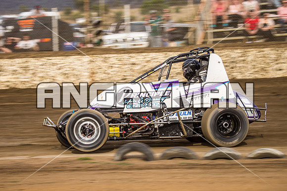 wingless 15 t15