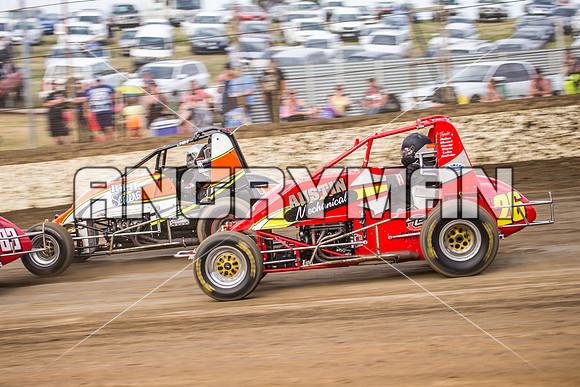 wingless 26 t26-3