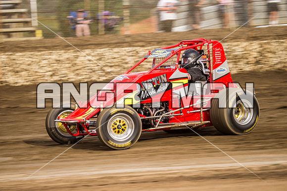 wingless 26 t26-5