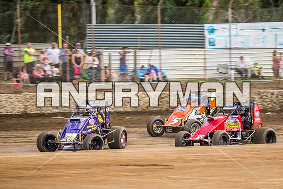 wingless 28 t28-2