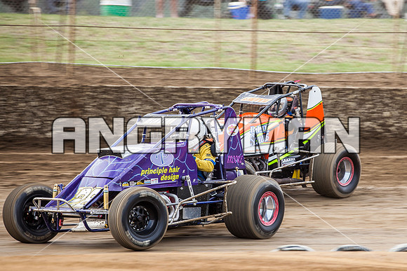 wingless 28 t28-3